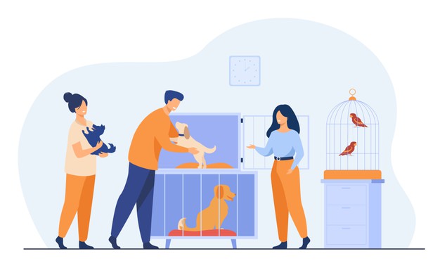 Animal Shelter Vocabulary Worksheet