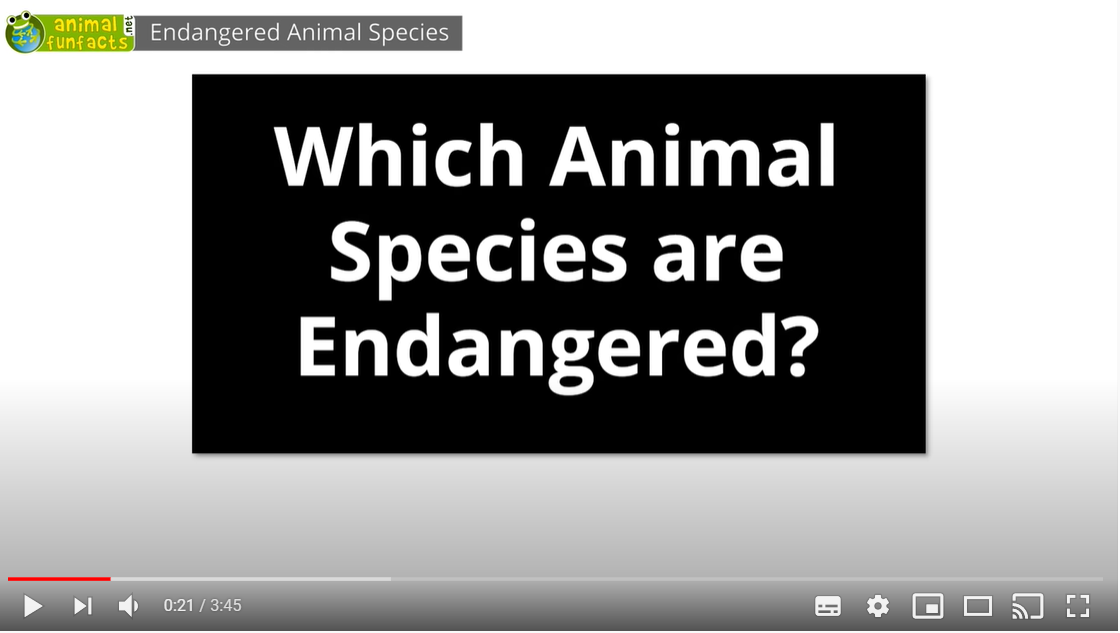 Endangered Animals