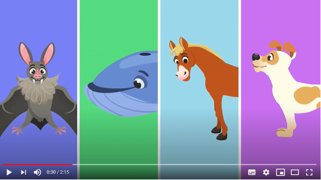 Mammals