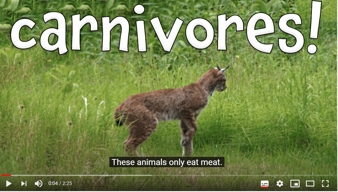Carnivores