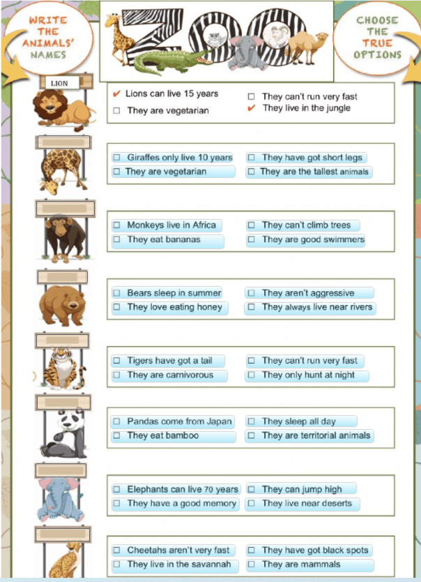 Zoo worksheet by nuria08