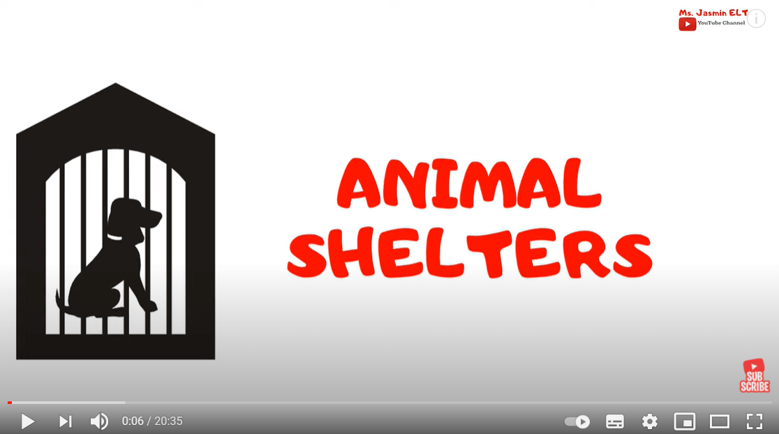 5.9 Animal Shelter by Ms.Jasmin ELT