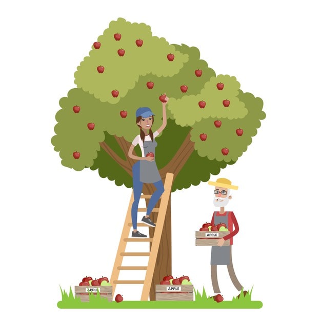 6.7 Holiday Activities (Interactive) (6.sınıf İngilizce Holidays)