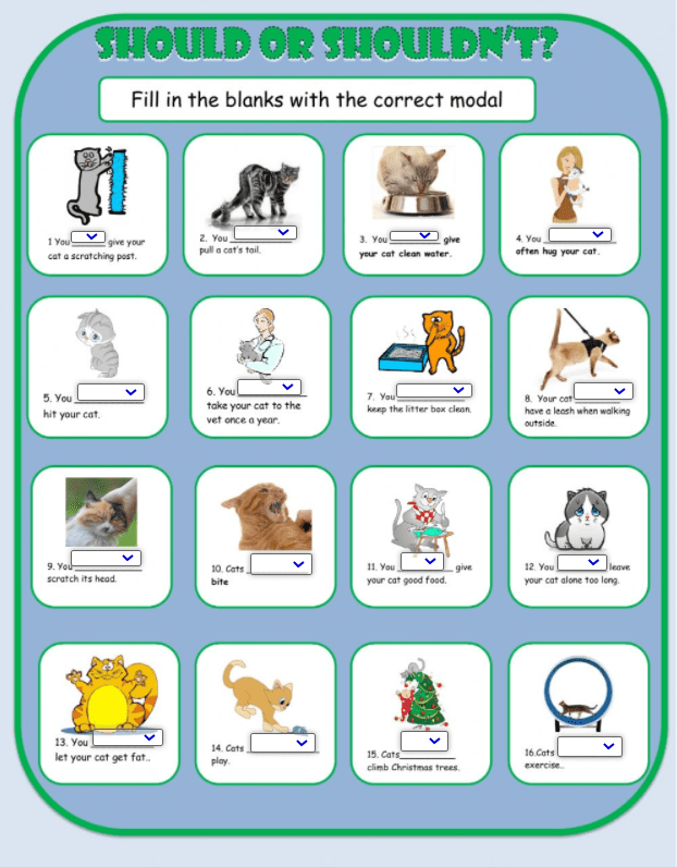 6.10 Should-Shouldn't by estherlee76