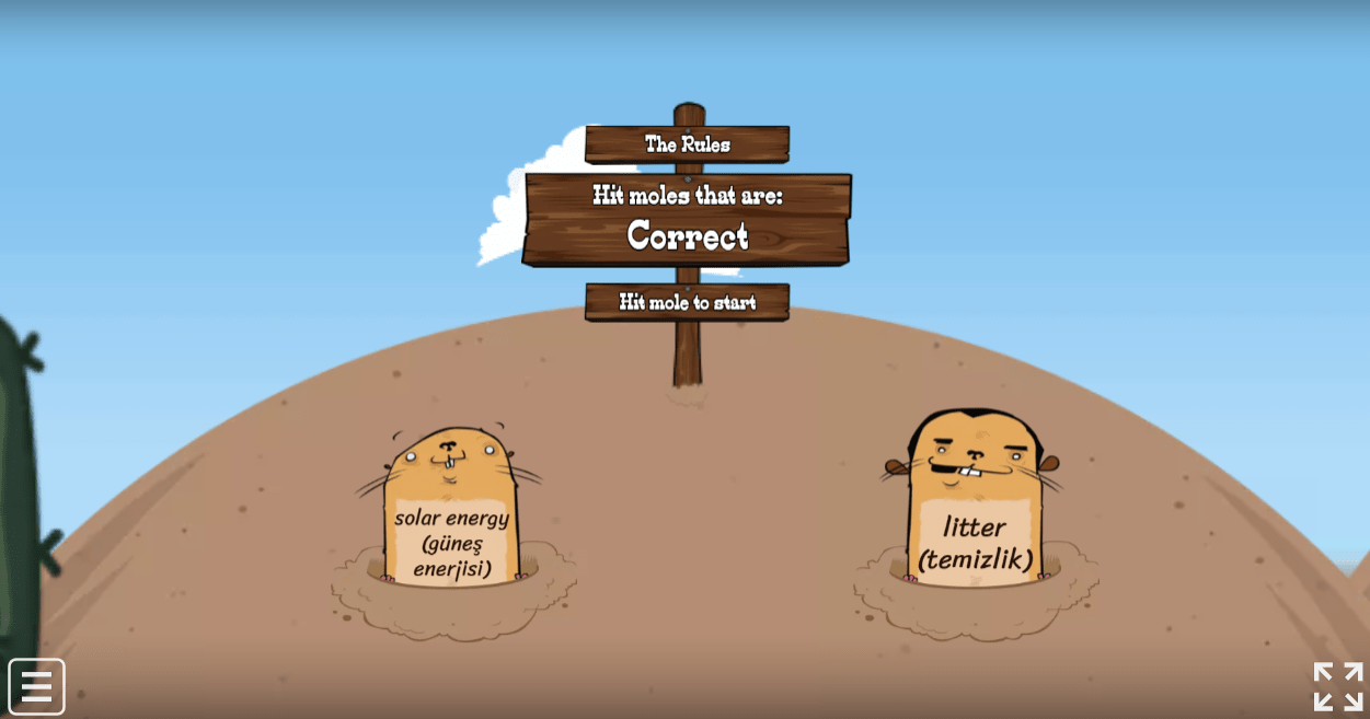 6.9 Saving The Planet Vocabulary